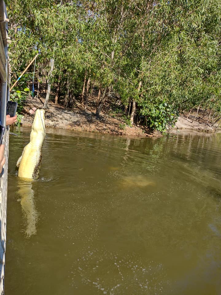 One Day Litchfield Park Adventures