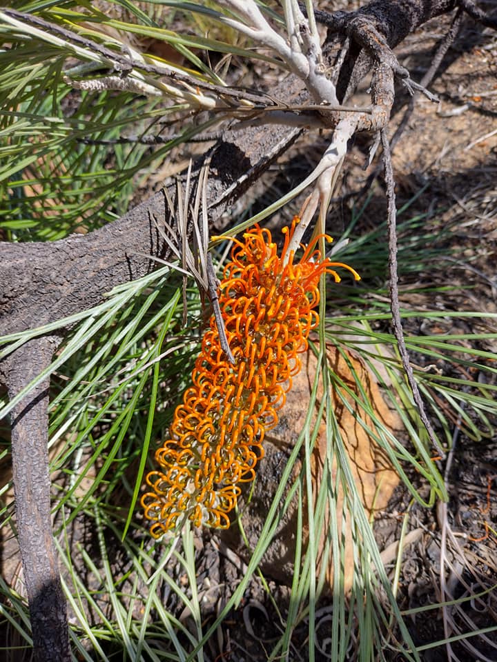 One Day Litchfield Park Adventures