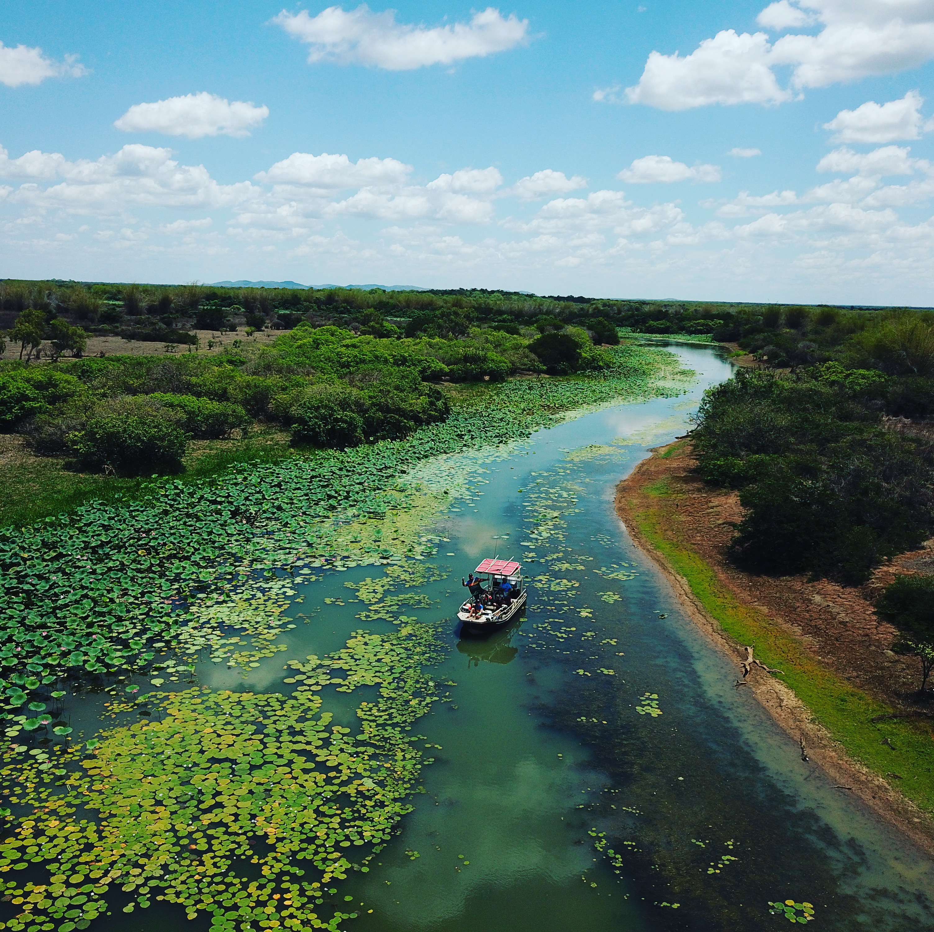 Copy of Full Day Harbour Fishing