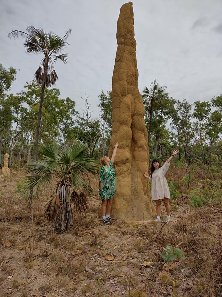 One Day Litchfield Park Adventures