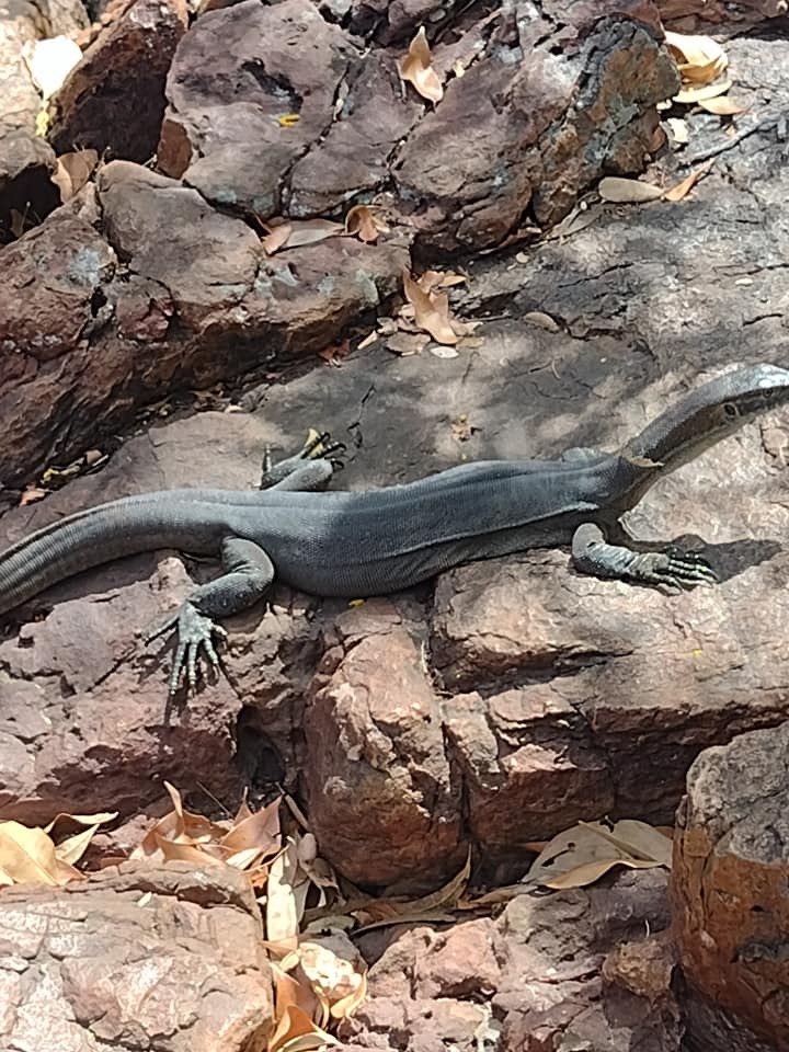 One Day Litchfield Park Adventures