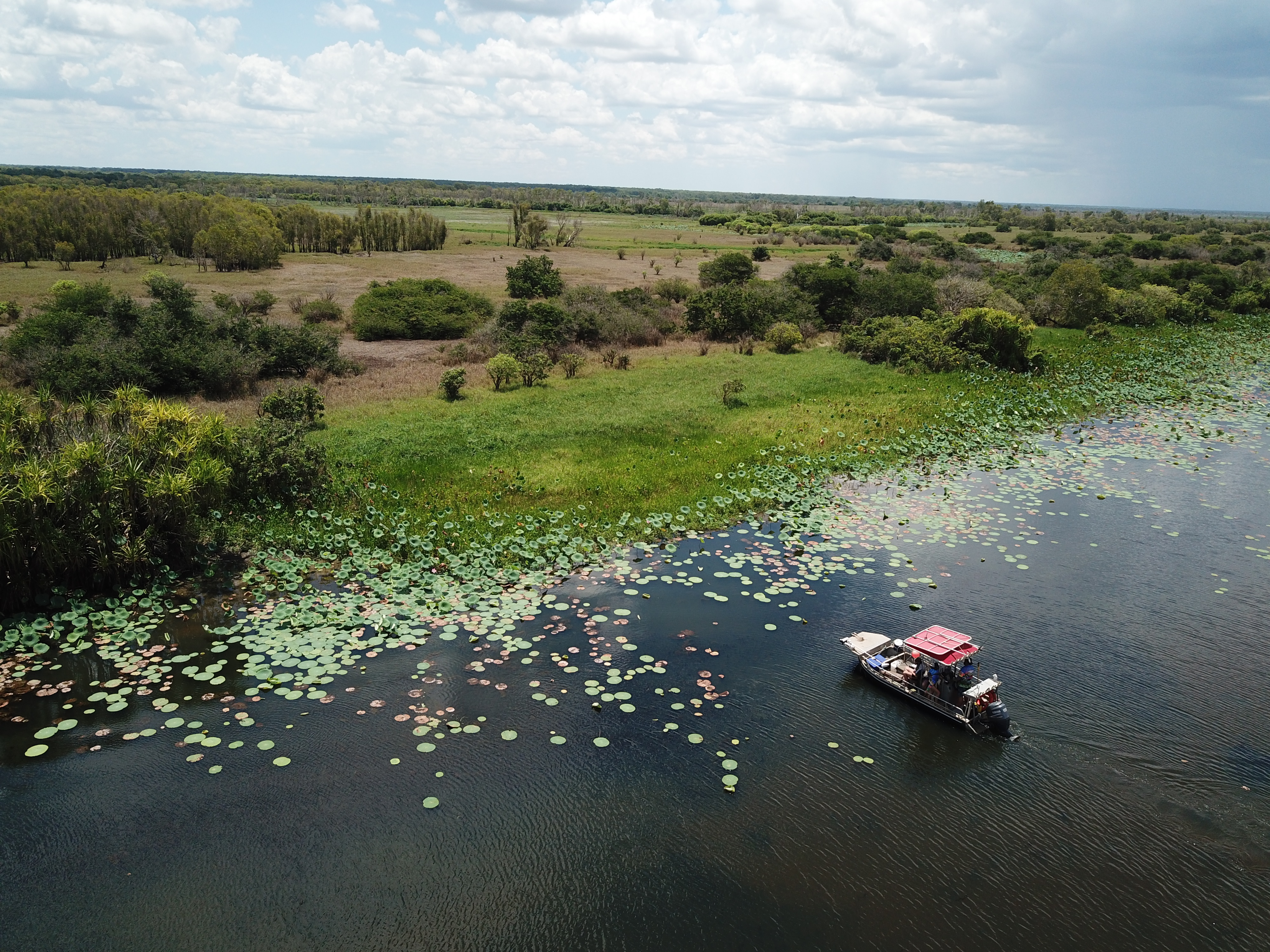 Barramundi Fishing at  Corroboree Billabong Half Day