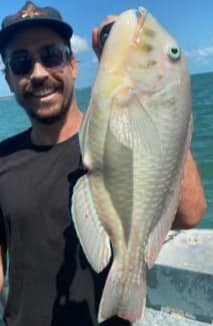 Sole/Group Charter - Half Day