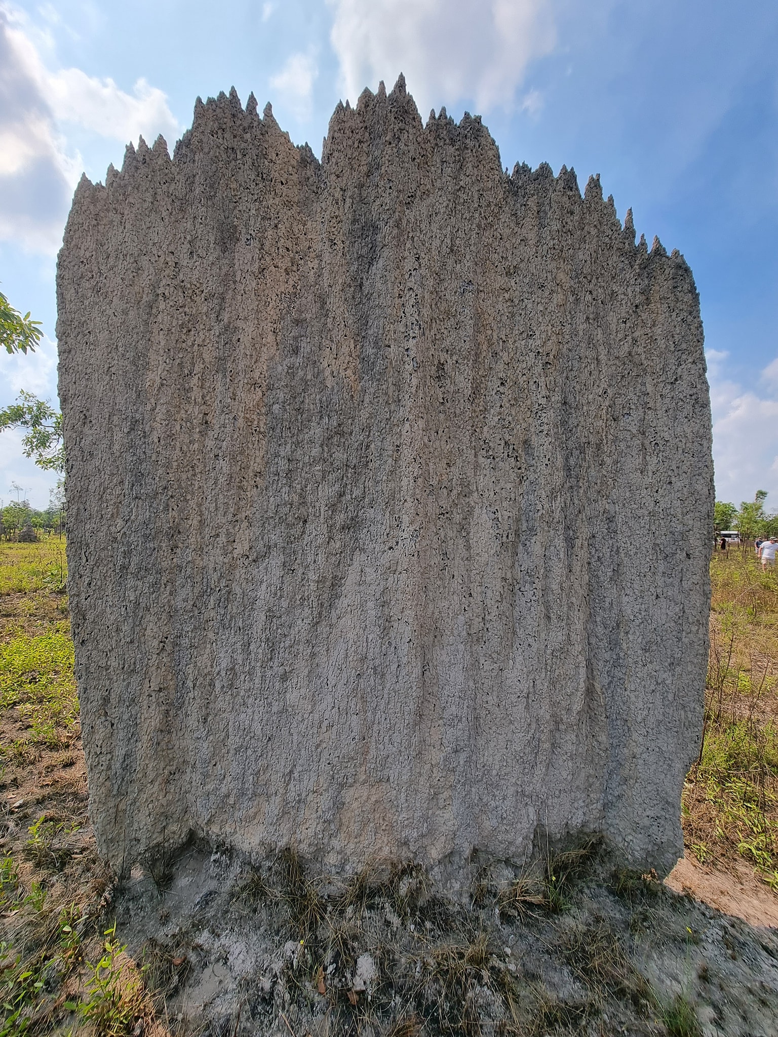 One Day Litchfield Park Adventures