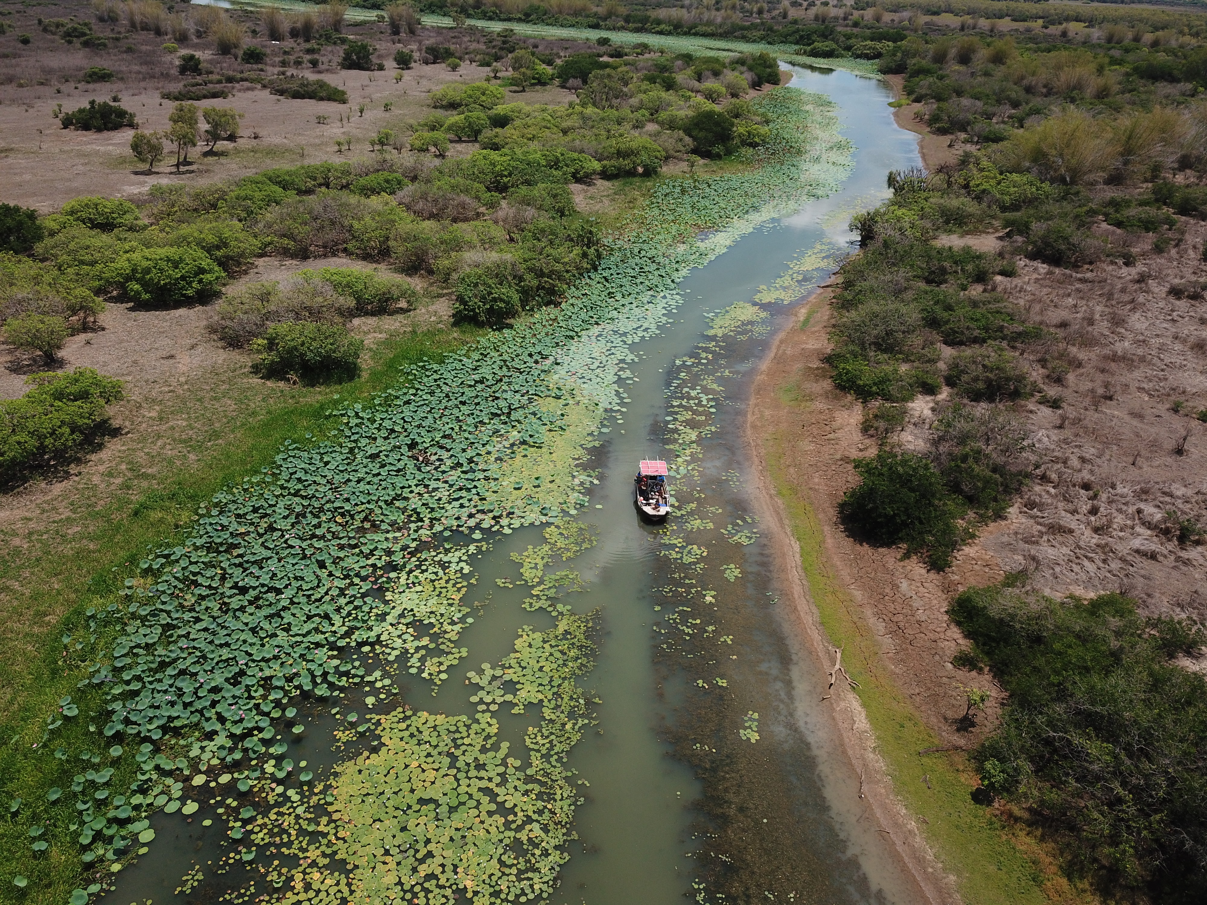 Barramundi Fishing at  Corroboree Billabong Half Day
