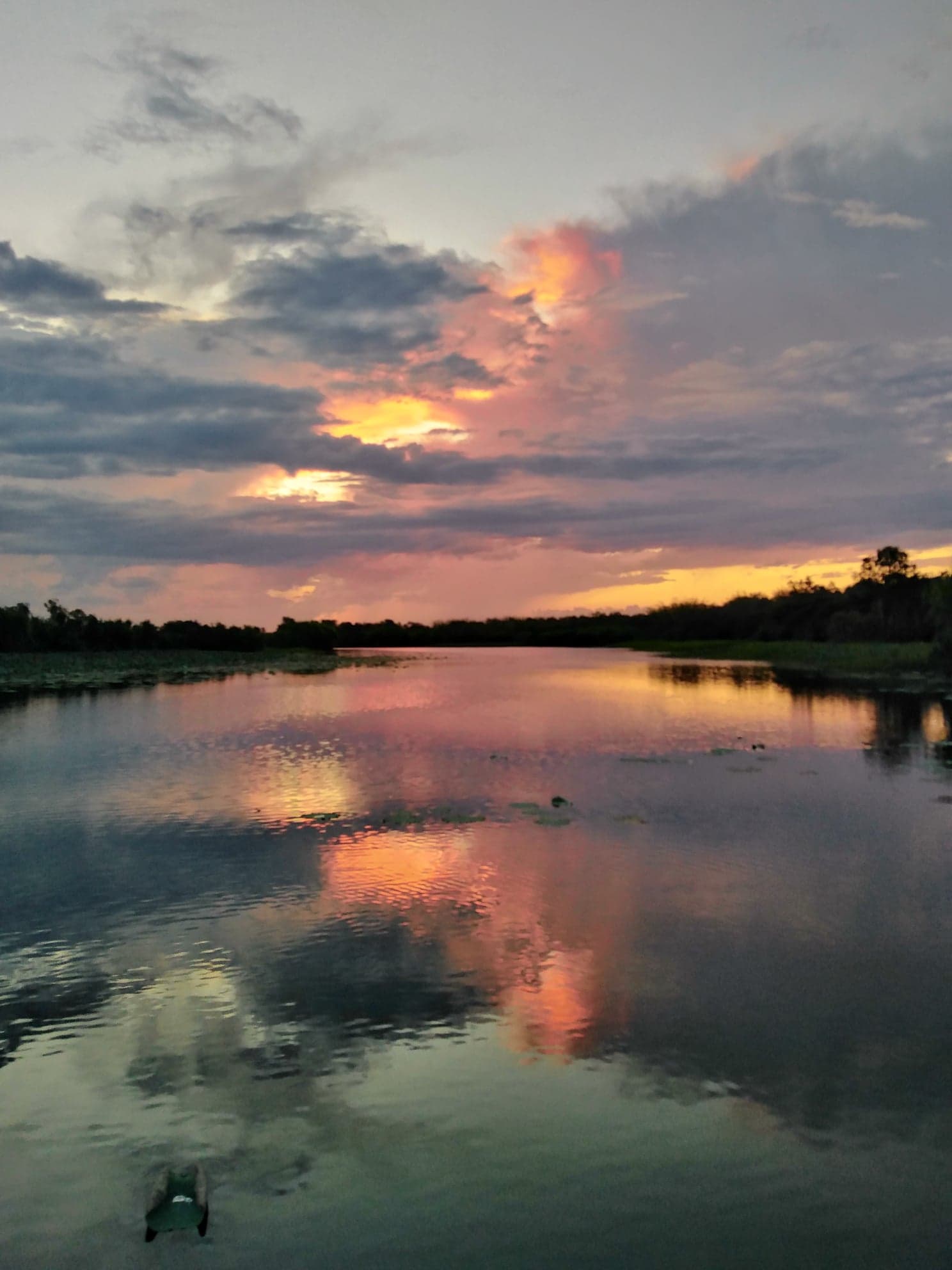 Barramundi Fishing at Corroboree Billabong Full Day
