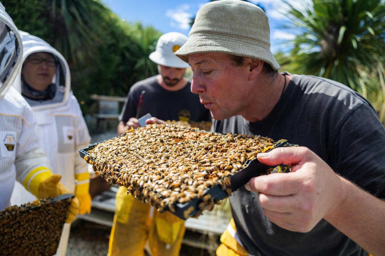 Meet-The-Bees & Manuka Honey Tasting