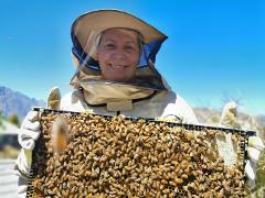 COMBO Beekeeping and Honey Spinning Experience