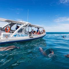 2 day/ 1 night Fleurieu Peninsula & Ocean Safari Tour - 4th & 5th of May 2024 (exclusive for Flinders University students)