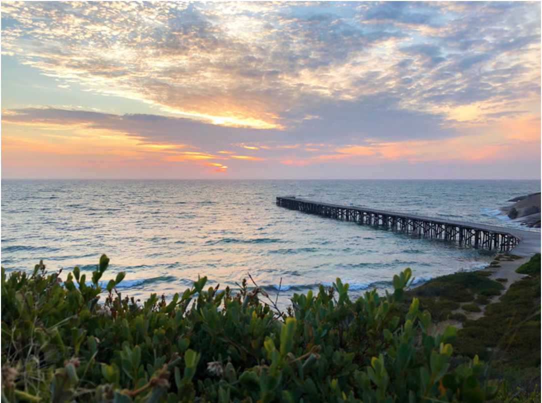  2 DAY/1 NIGHT YORKE PENINSULA WILDLIFE & OCEAN SAFARI TOUR