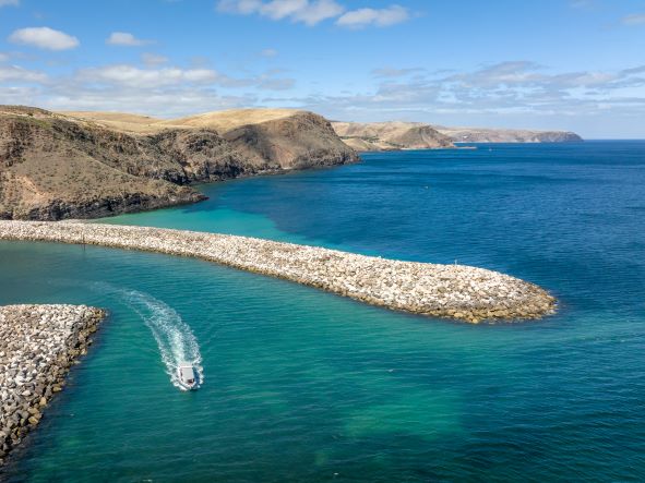 Fleurieu Peninsula Ocean Safari & Nature Tour (Exclusive for International Students 18yrs or over) 7th of December  2024