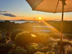 Waiheke Sunset Wine + Dine Tour 