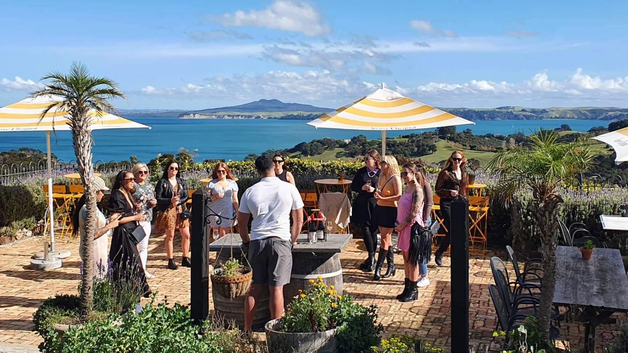 Waiheke Sommelier Tour + Premium Tastings and Lunch - Photo 3