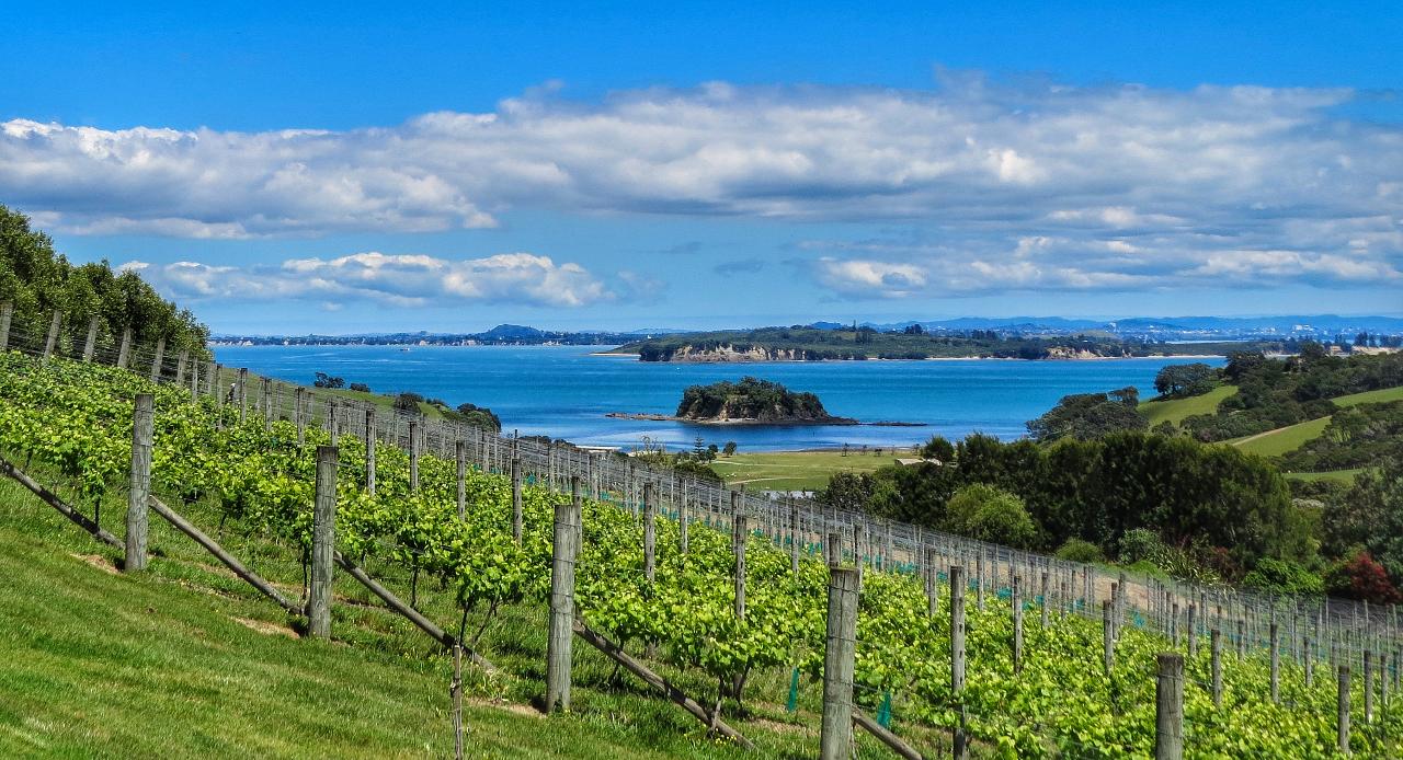 Waiheke Island Art and Wine Escape - Photo 3