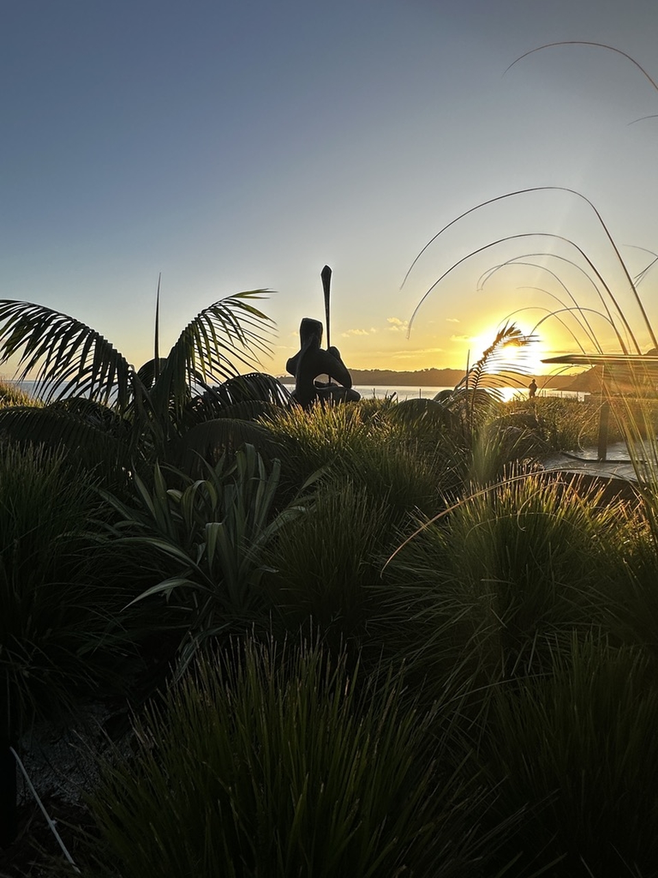 Waiheke Wine Tours: Maori Cultural Tour with Vineyard Lunch and Art — Waiheke Island - Photo 2