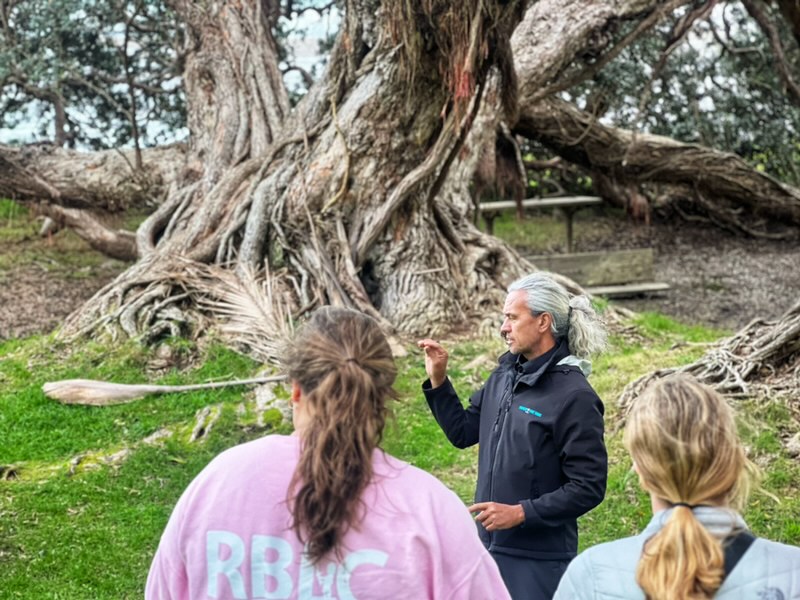 Waiheke Wine Tours: Maori Cultural Tour with Vineyard Lunch and Art — Waiheke Island - Photo 8