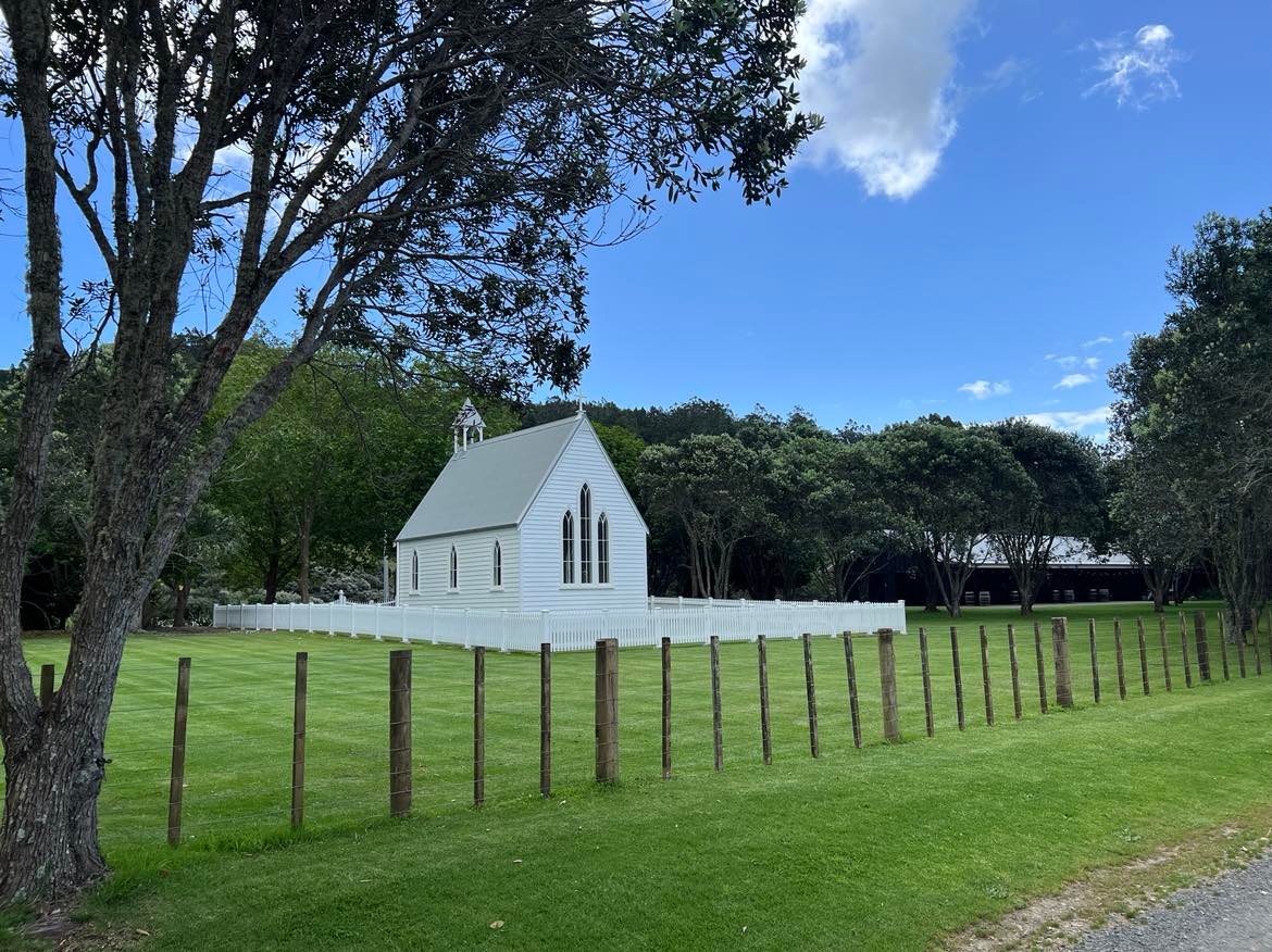 Waiheke Sommelier Tour + Premium Tastings and Lunch - Photo 5