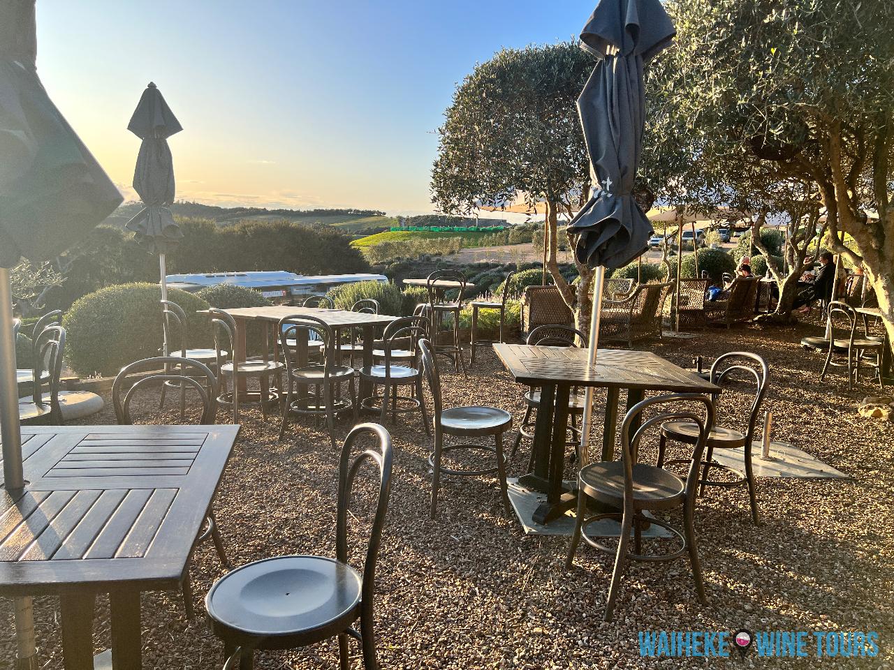 Waiheke Sommelier Tour + Premium Tastings and Lunch - Photo 10
