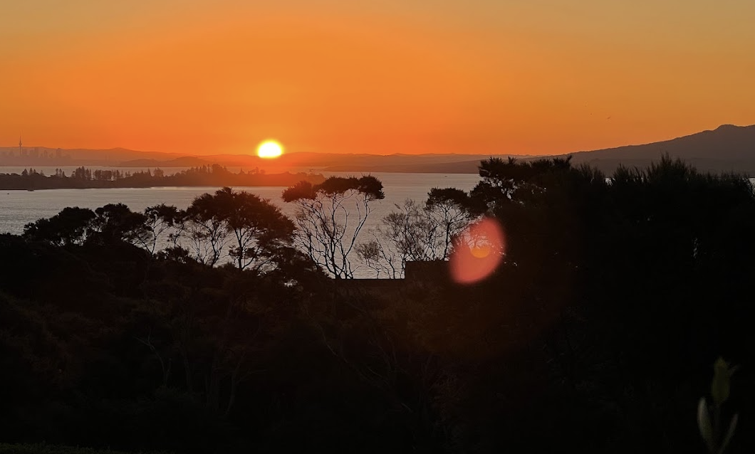 Waiheke Island: Private Sunset Wine Tour & 2-Course Dinner - Photo 2
