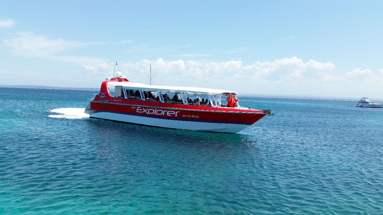 Jervis Bay Dolphin Cruise - Dolphin Watch Cruises Reservations