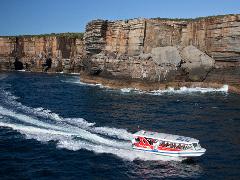 Jervis Bay Seals & Seacliffs Cruise