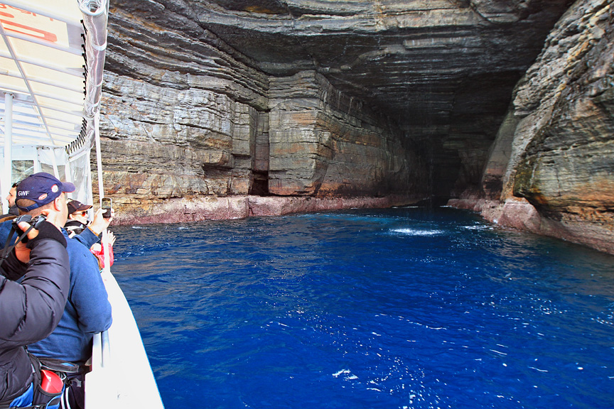 Jervis Bay Seals & Seacliffs Cruise