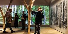 Forest to Fibre: Timber Futures