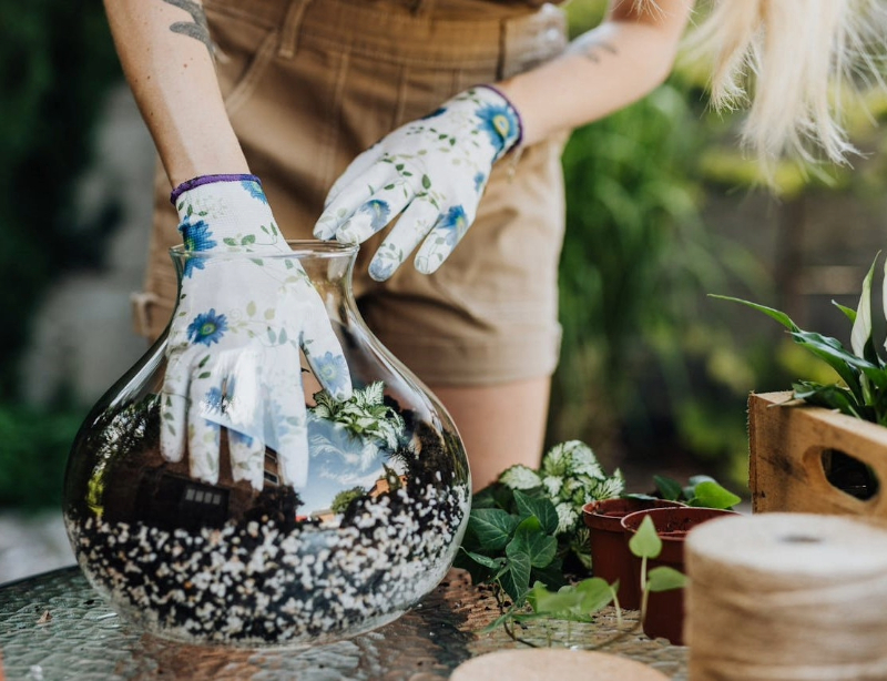 Tiny Gardens - Terrarium Magic for Seniors