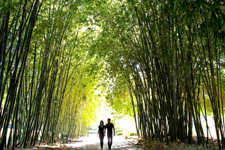 Delectable Tastes of Local Icons Tour