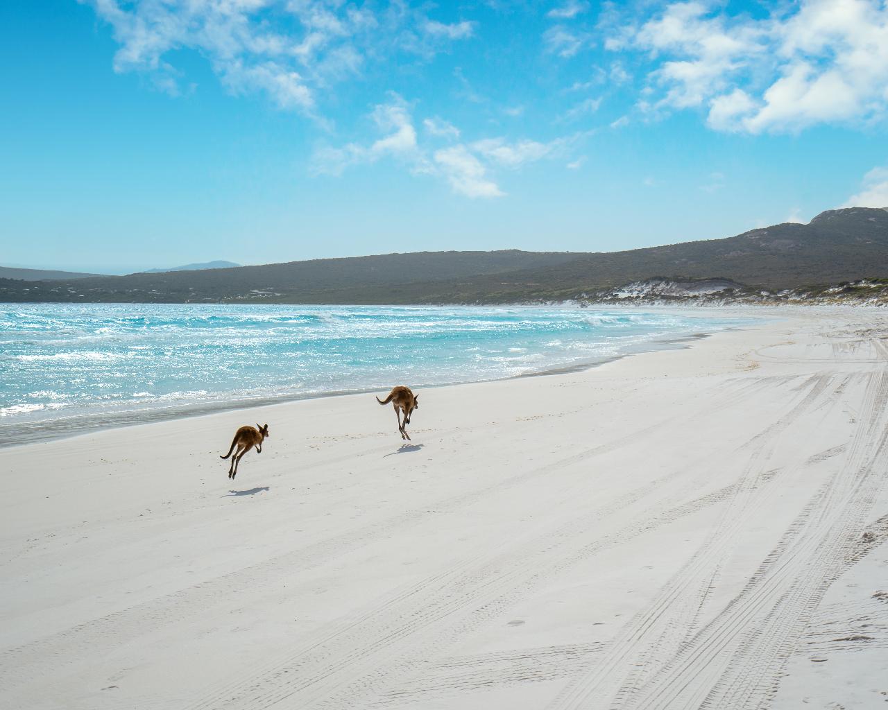 Esperance & Cape Le Grand Gourmet Adventure