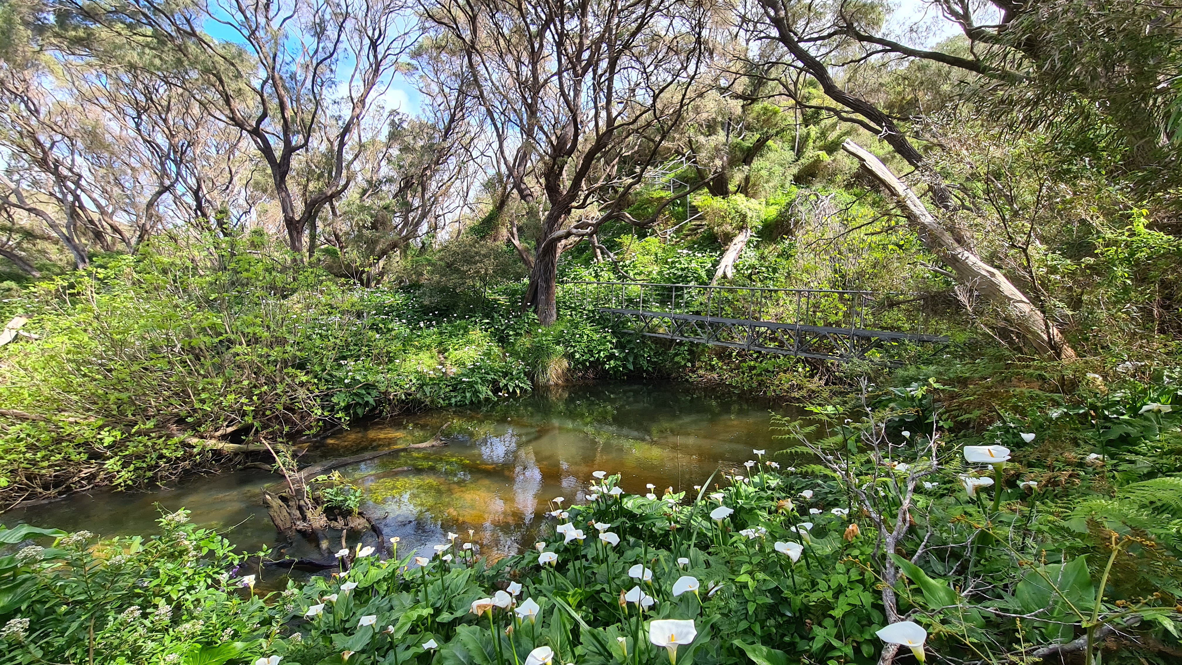 Cape to Cape End to End | Multi-Day Hike & Camp Experience