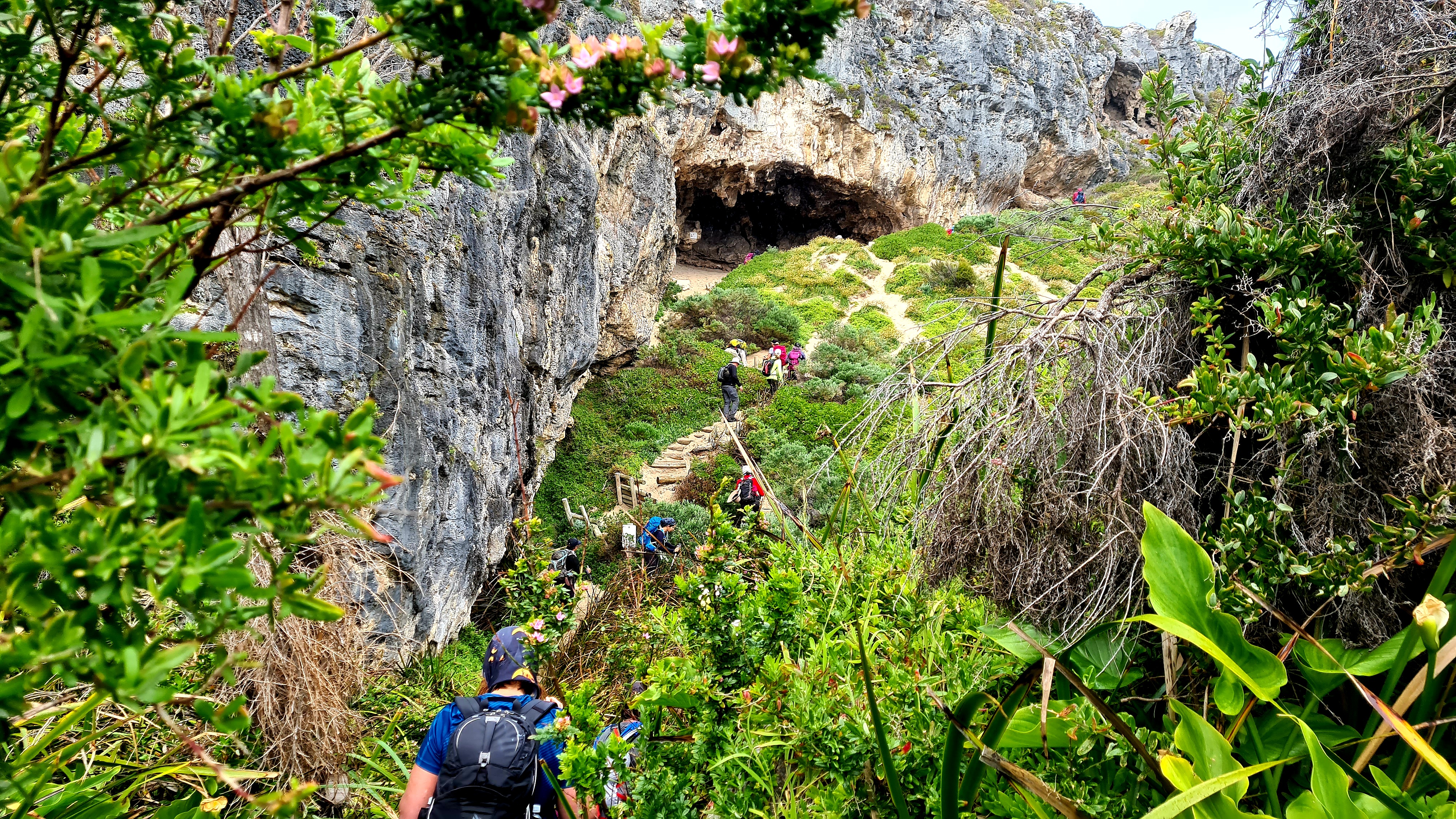 Cape to Cape End to End | Multi-Day Hike & Camp Experience