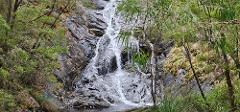 Bibbulmun Donnelly River - Pemberton Pack & Camp 5 Day Hike