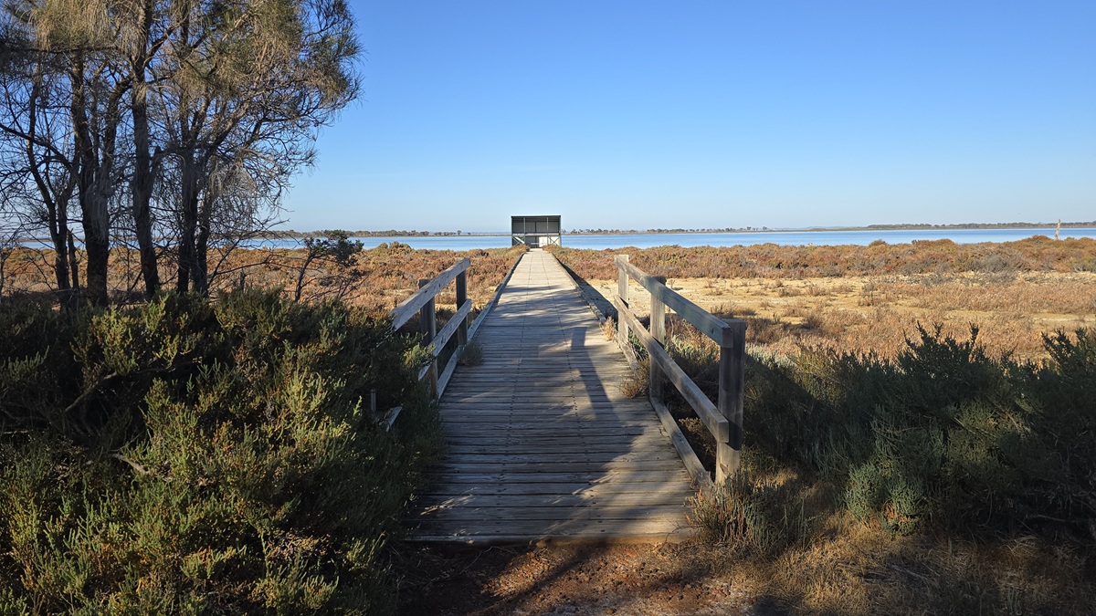 Giants & Wetlands Wander | Mandurah Families Week