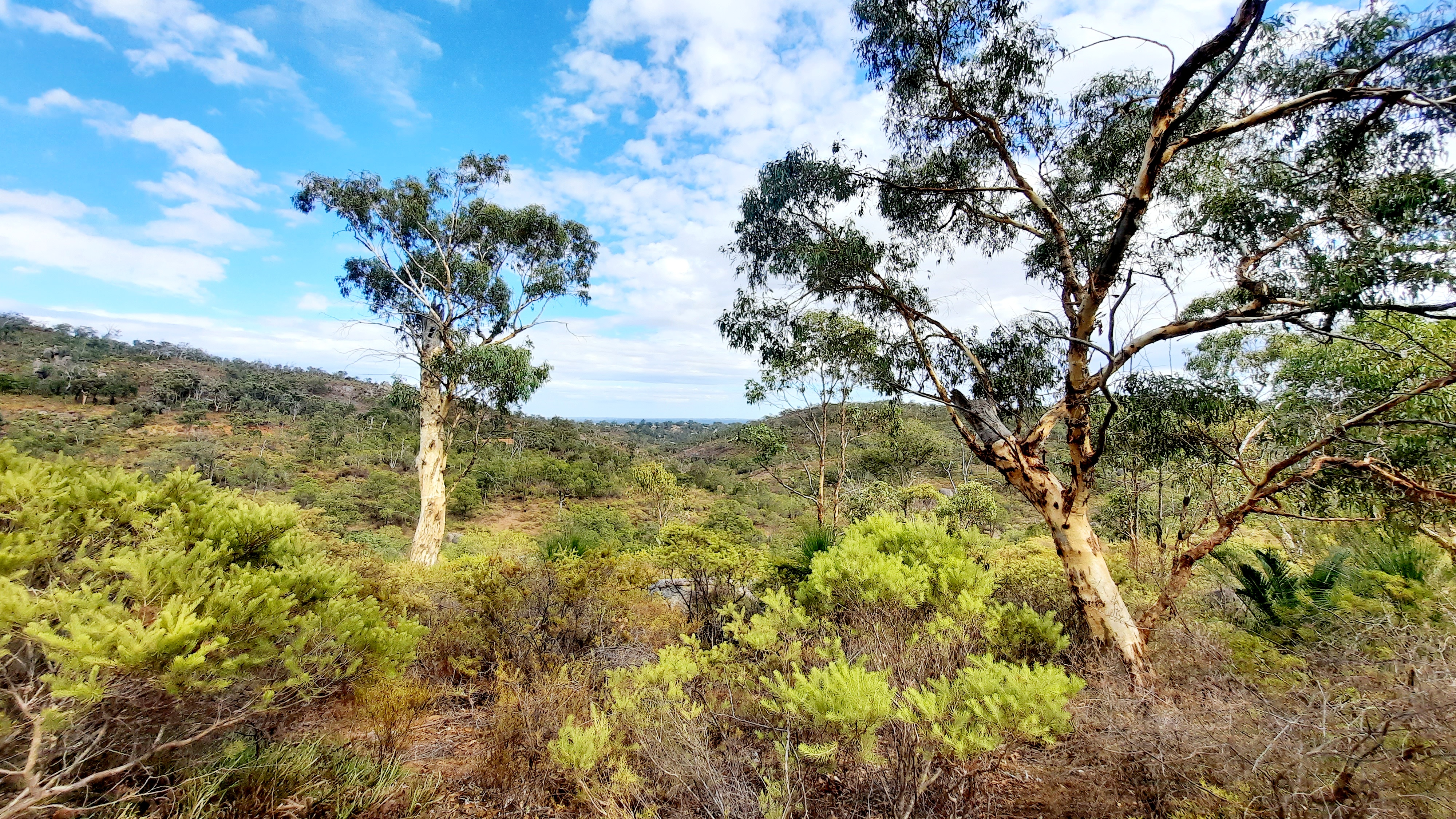 PRIVATE | Eagle View Lookout Hike - Signpedia