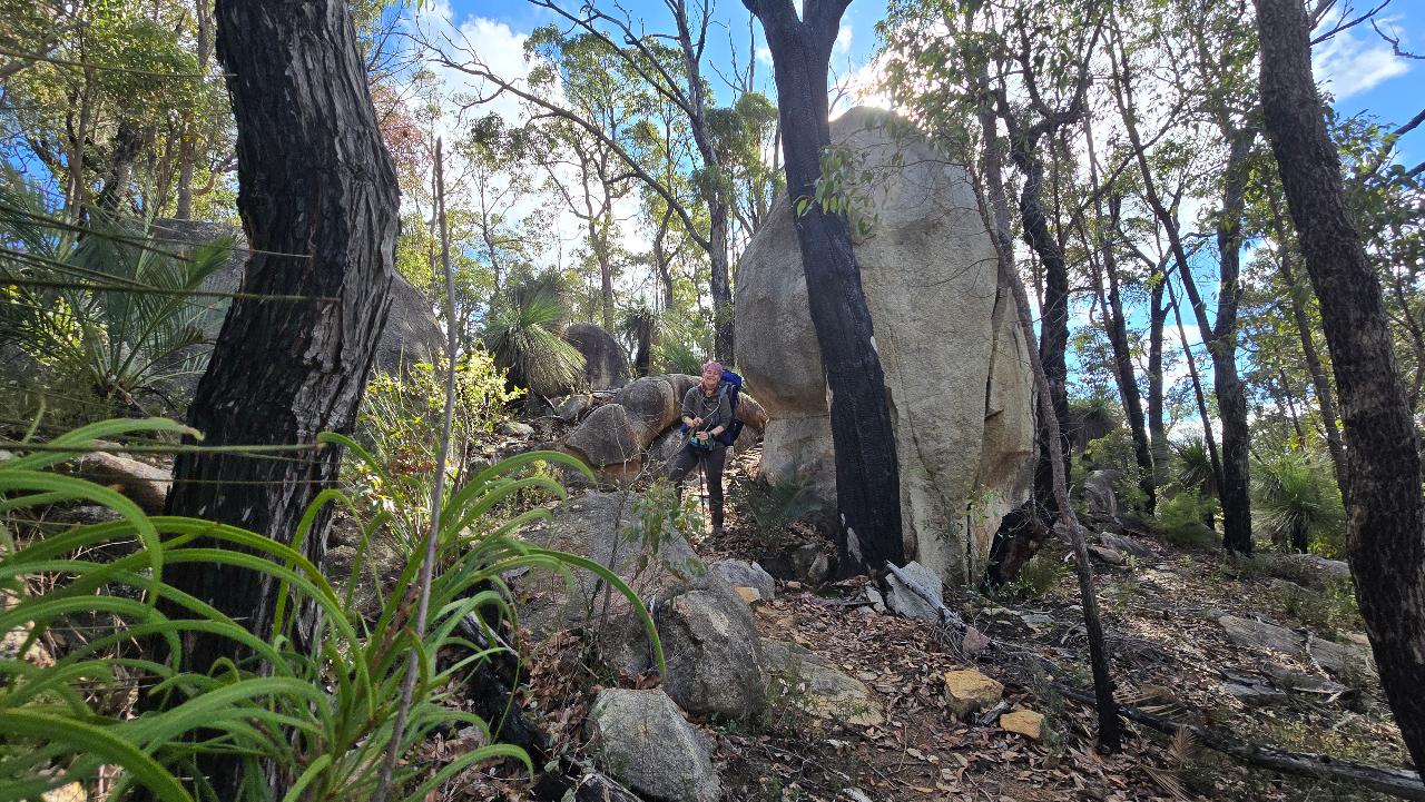 Bibbulmun Track | Albany Highway - Dwellingup Pack & Camp 4 Day Hike