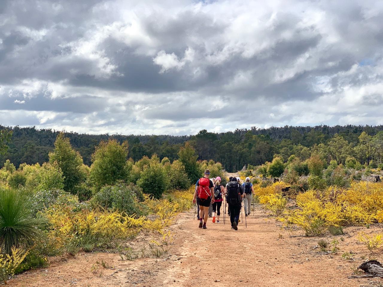 Bibbulmun Track | Endurance Hike - Mundaring to Helena
