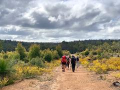 Bibbulmun Track | Endurance Hike - Mundaring to Helena