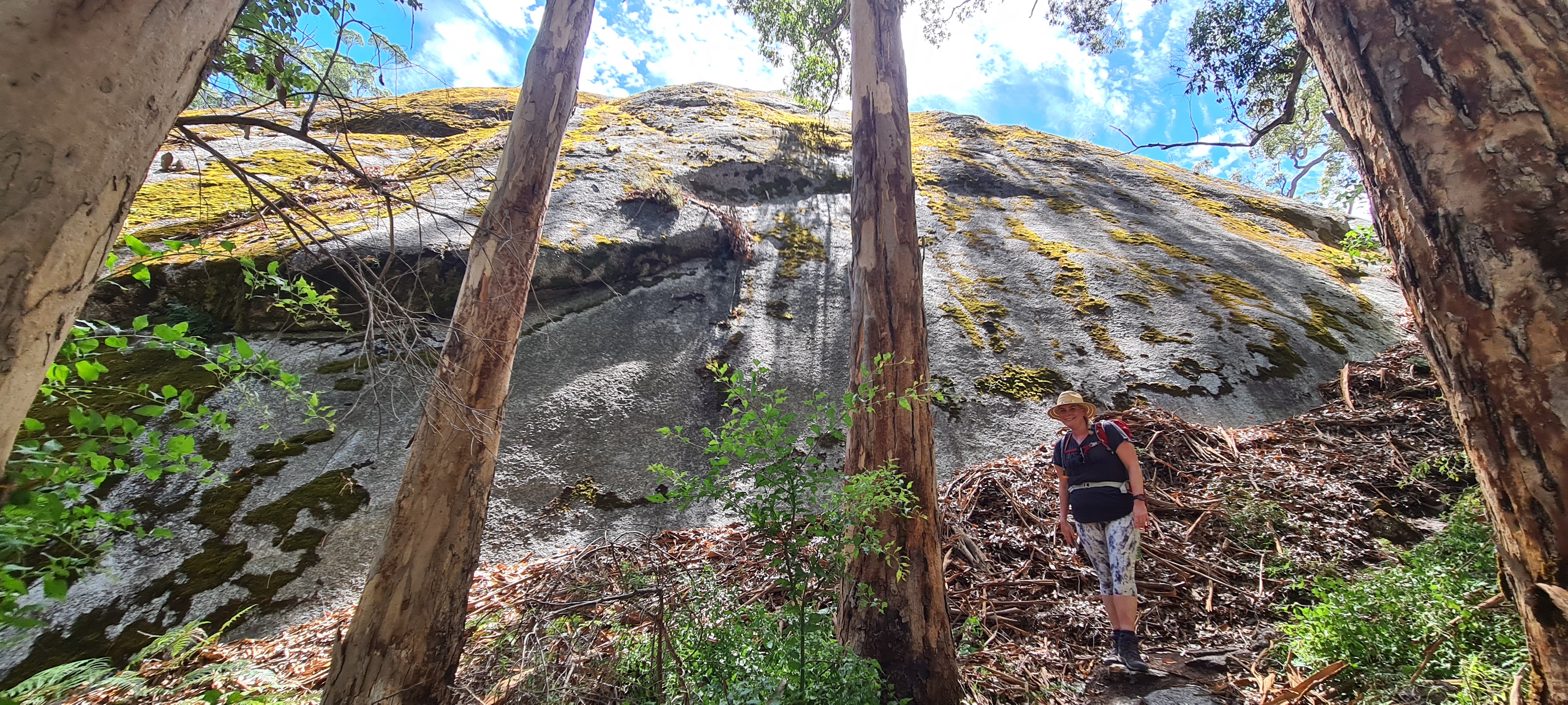 Walpole Wilderness Gourmet Adventure