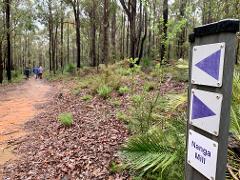 Chuditch & Island Pool Guided Hike