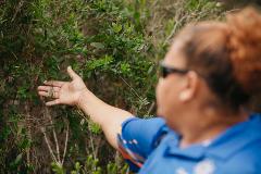 Grounded in Culture - Bay to Boodja | GROUNDED Esperance Hiking Festival