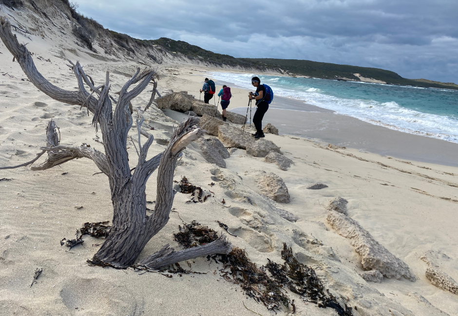 Cape to Cape End to End | Multi-Day Hike & Camp Experience