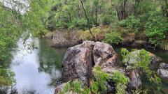 Collie | Hike, Wine & Dine Experience