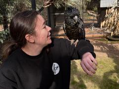Feathers & Footsteps – Kaarakin Wildlife Experience Afternoon Edition