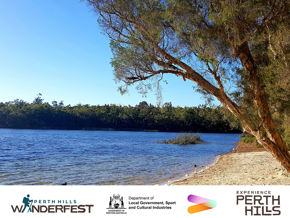 ZARCHIVE WanderFest Mundaring Lake Leschenaultia Accessible Hike
