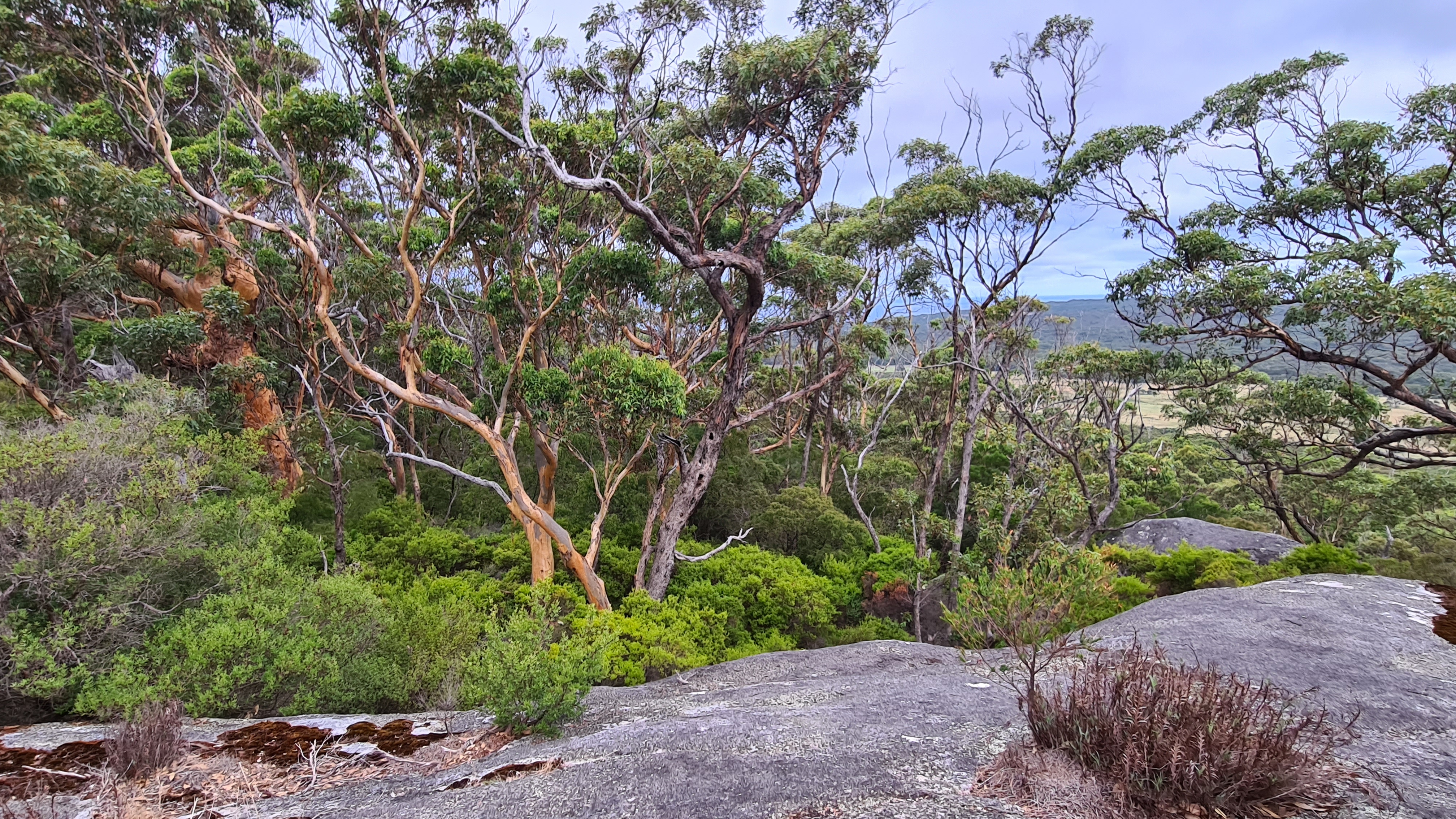 Walpole Wilderness Gourmet Adventure