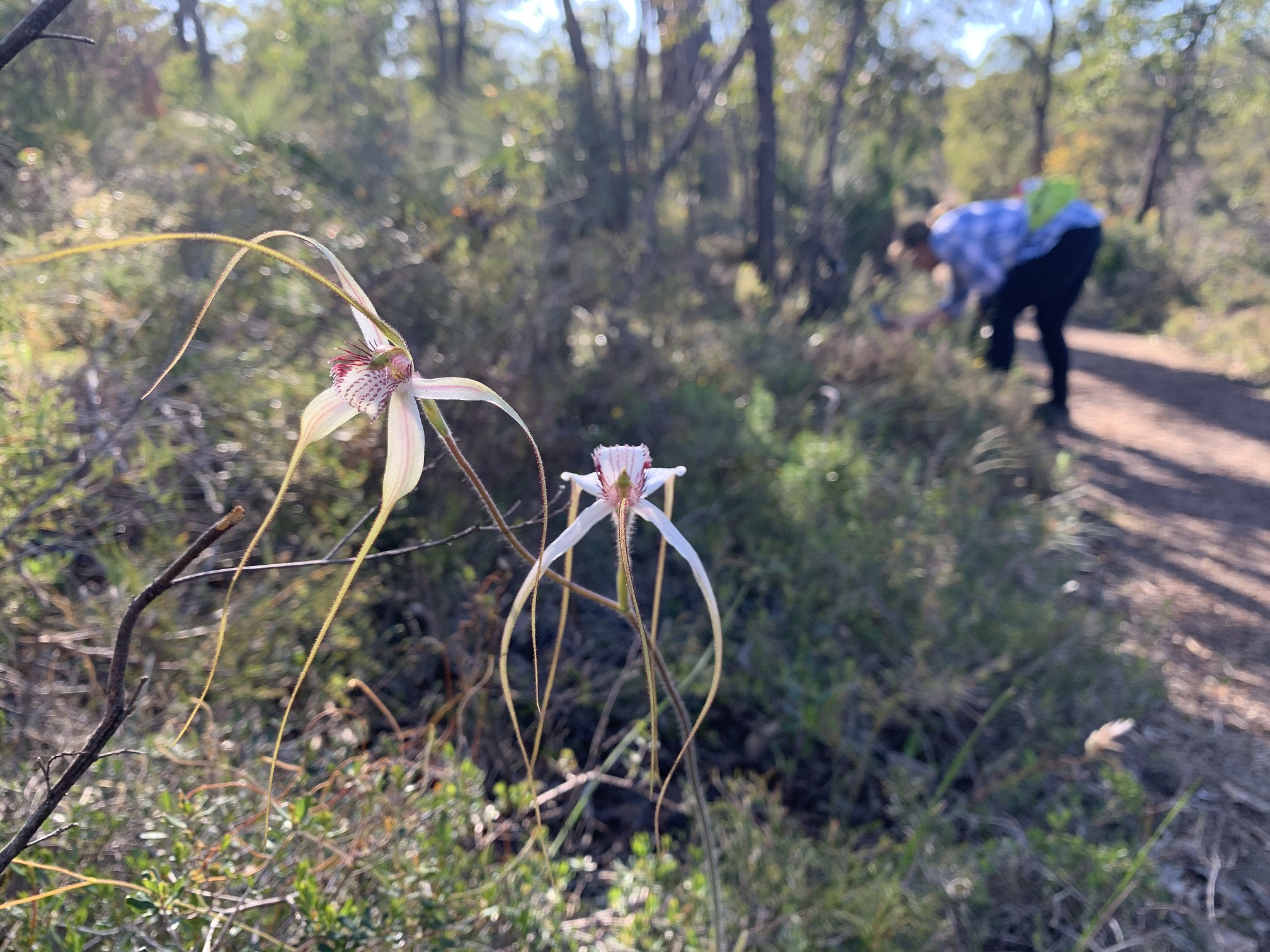 PRIVATE | Eagle View Lookout Hike - Signpedia