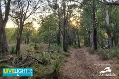 Wildflower Hike - Bungendore for LiveLighter