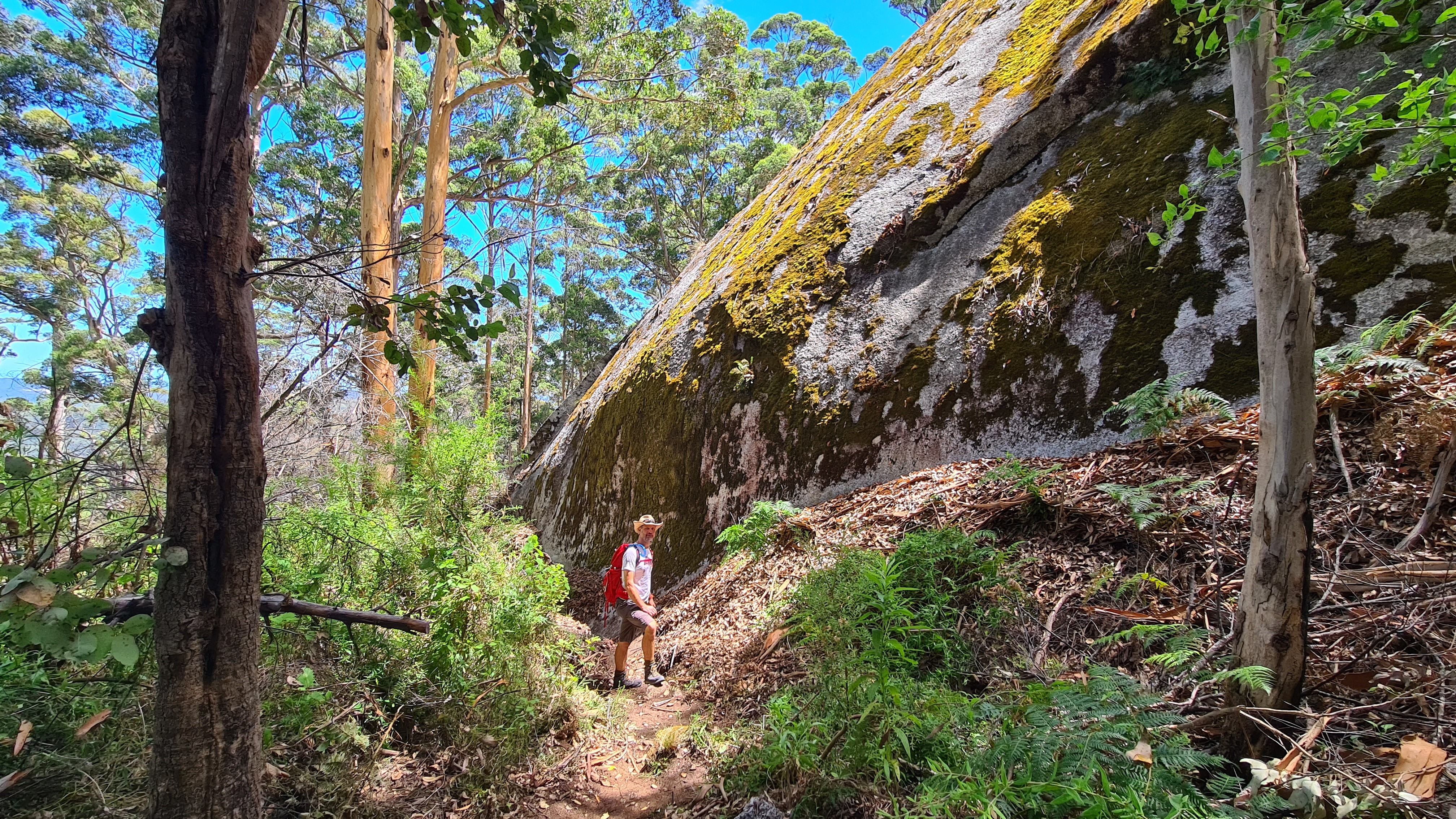 Walpole Wilderness Gourmet Adventure