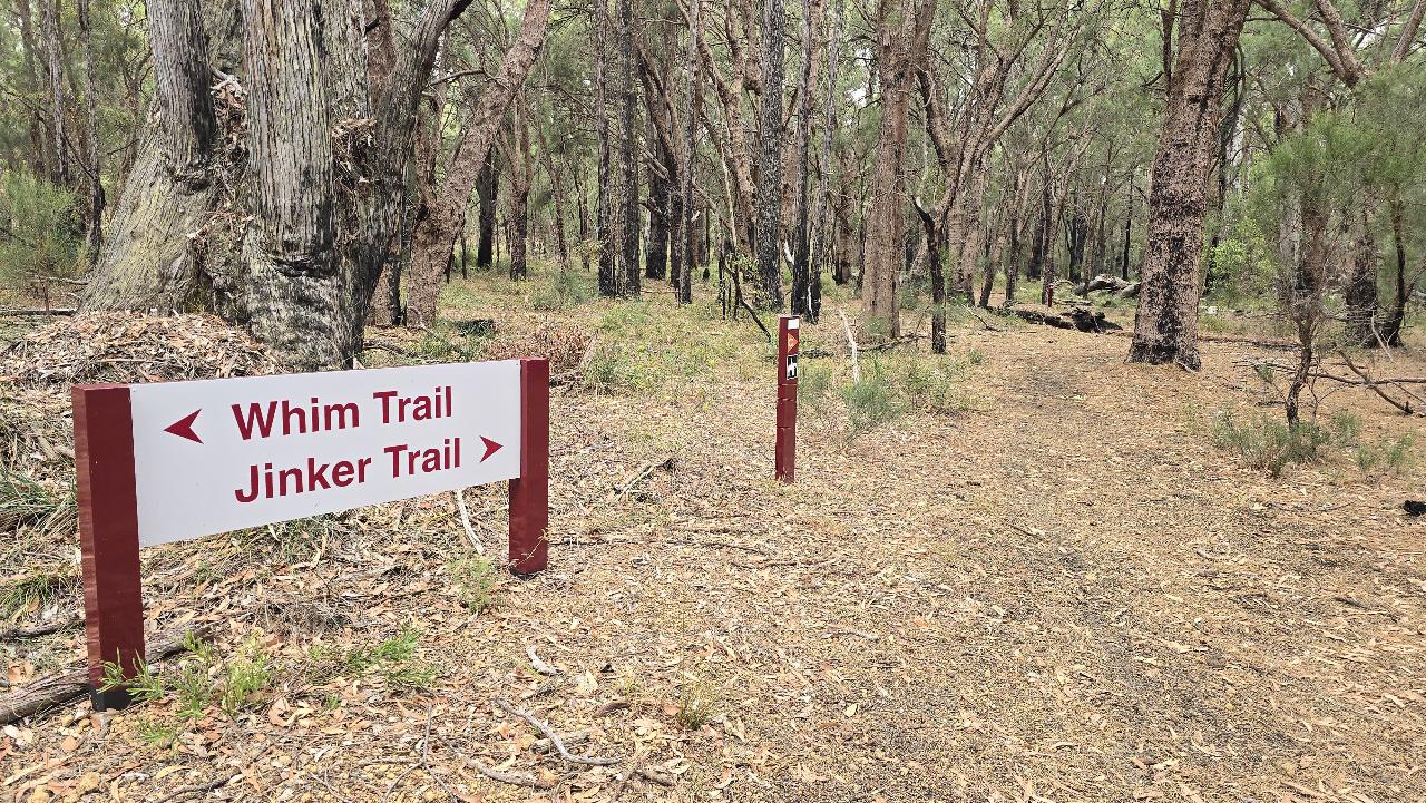 ZARCHIVE Awaken | Jinker Endurance Hike